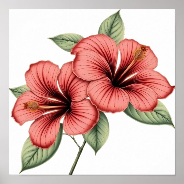Vintage Hibiscus Poster (Framsidan)