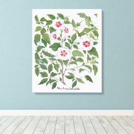 Vintage Hibiscusblommor av Basilius Besler Canvastryck