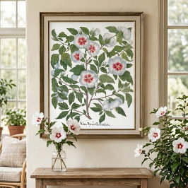Vintage Hibiscusblommor av Basilius Besler Poster