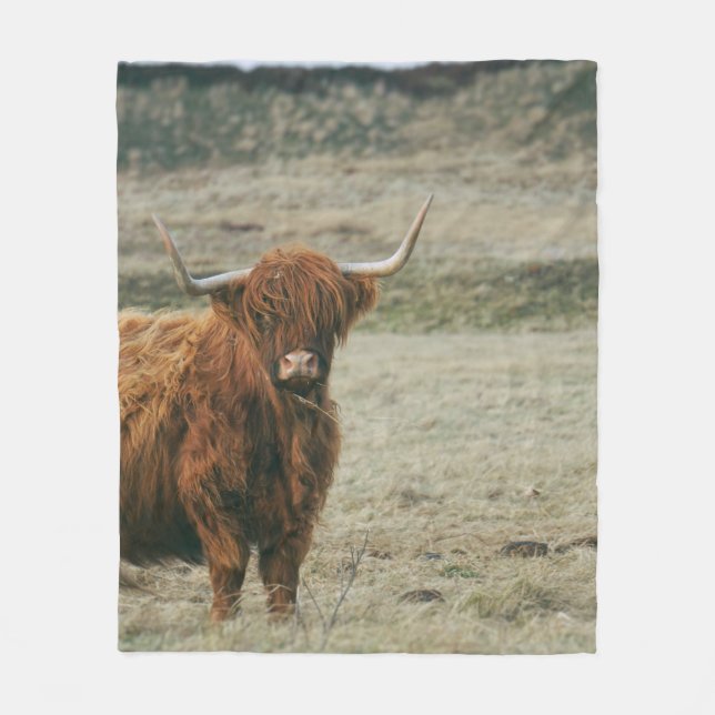 VINTAGE HIGHLAND CATTLE COW PHOTO FLEECEFILT (Framsidan)