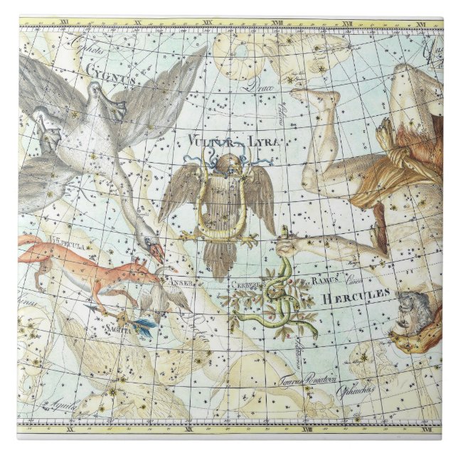 Vintage Himmel Karta Konstellation of Hercules Kakelplatta (Framsidan)