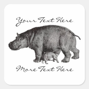 Vintage Hippo Stickers Fyrkantigt Klistermärke