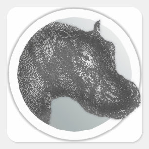 Vintage Hippo Sticko Fyrkantigt Klistermärke