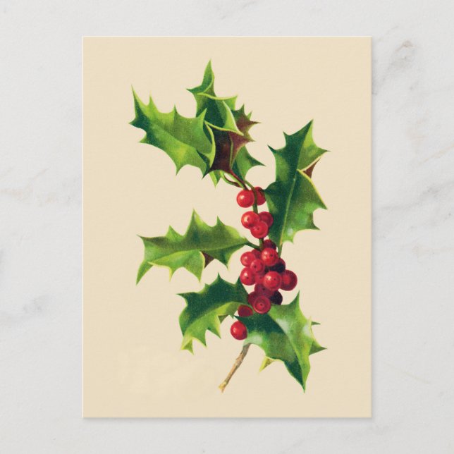 Vintage Holly-julhälsningskort Helg Vykort (Framsida)