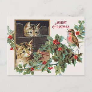Vintage-holly-katter och fågeljultomater helg vykort