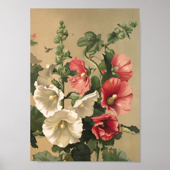 Vintage Hollyhocks Art Poster (Framsidan)