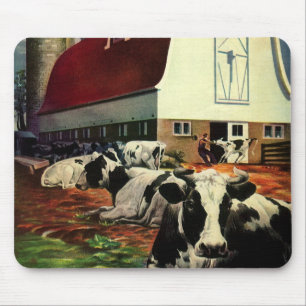 Vintage Holstein Mjölk Cows on Dairy Farm Business Musmatta
