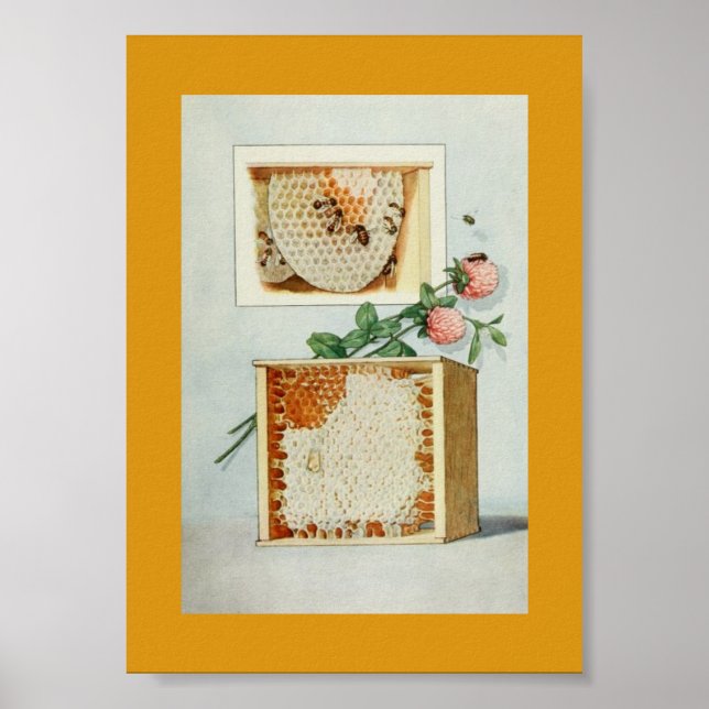 Vintage Honung Comb, bin, bivax och Rosa Klöver Poster (Framsidan)