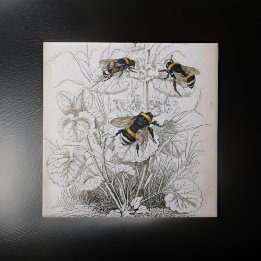Vintage Honungsbee Illustration | Kakelplatta