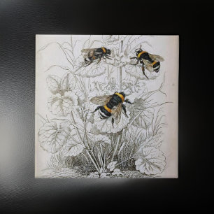 Vintage Honungsbee Illustration Kakelplatta