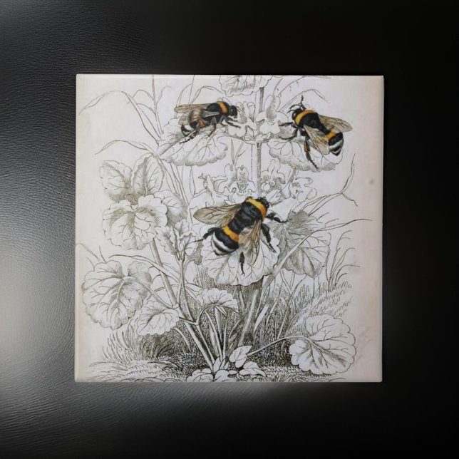 Vintage Honungsbee Illustration | Kakelplatta (Skapare uppladdad)