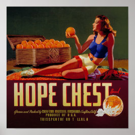 Vintage Hope Chest Brand Apelsiner Fruktetikett Poster