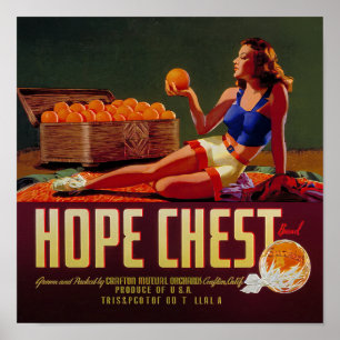 Vintage Hope Chest Märke Apelsiner Frukt Etikett Poster