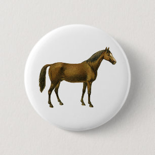 Vintage Horse Knapp