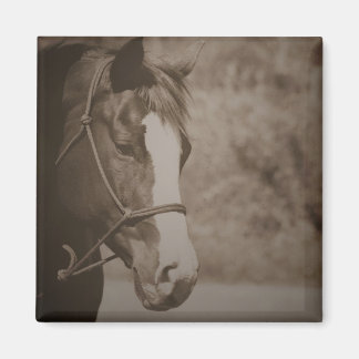 Vintage Horse Magnet