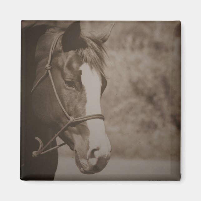 Vintage Horse Magnet (Framsidan)