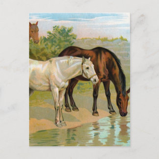Vintage Horse Painting Vykort
