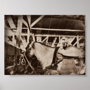 Vintage Horse Poster