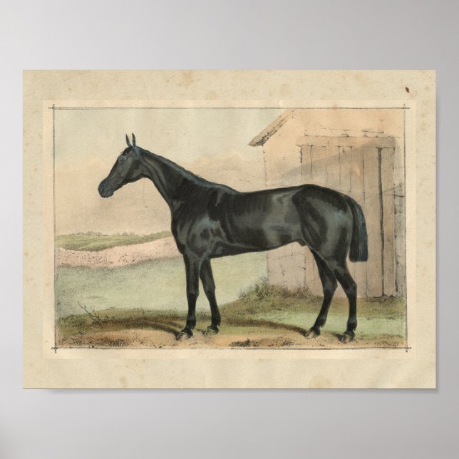 Vintage Horse Print 1873 Glonarry Poster (Framsidan)