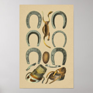 Vintage Horse Shoe Farrier 1898 Skriv ut Poster