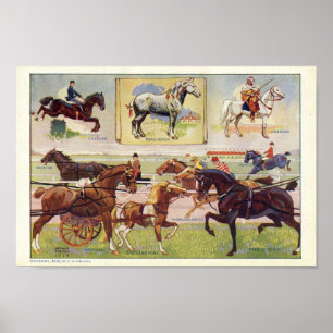 Vintage Horse Skriv ut olika raser 1912 Poster