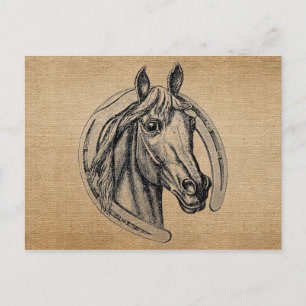 Vintage Horse Vykort
