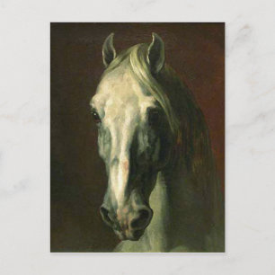 Vintage Horse Vykort