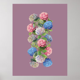 Vintage Hortensia Affisch