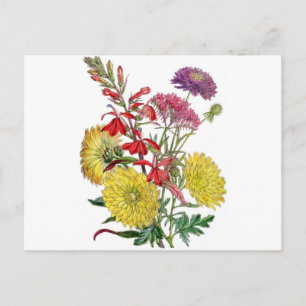 Vintage höstblommor vykort