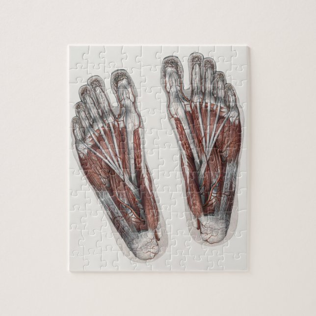 Vintage Human Anatomy Footprint Podiatry Feet Pussel (Vertikal)