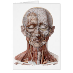 Vintage Human Anatomy Science, Head Throat Nose Hälsningskort
