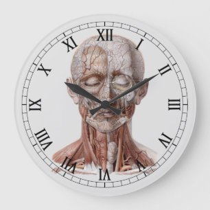 Vintage Human Anatomy Science, Head Throat Nose Stor Klocka