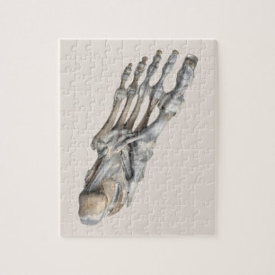 Vintage Human Anatomy Science, Skeleton Feet Pussel