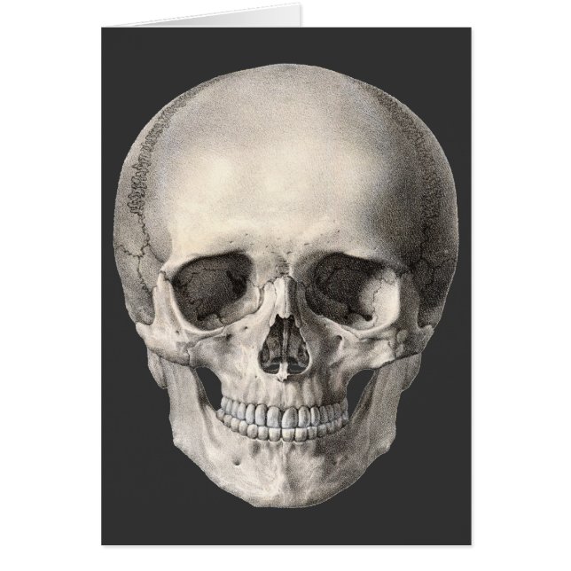 Vintage Human Anatomy Skull, Halloween Skeleton Hälsningskort (Framsidan)