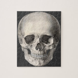 Vintage Human Anatomy Skull, Halloween Skeleton Pussel