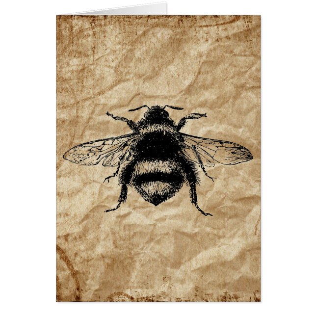 Vintage Humla Hälsningskort (Framsidan)