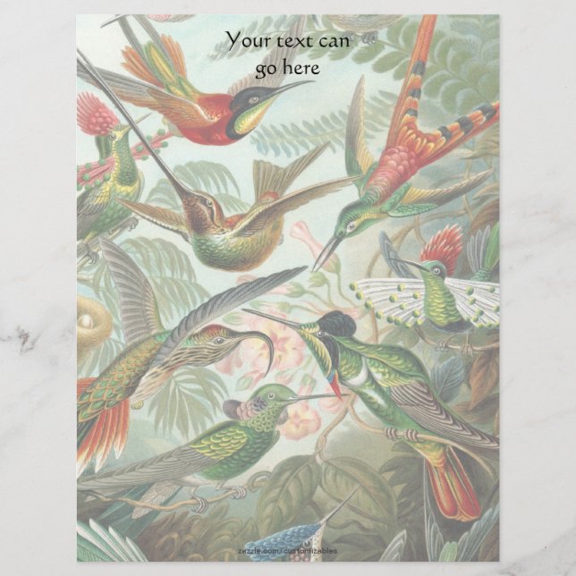 Vintage Hummingbird (Framsida)