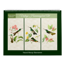 Vintage Hummingbird Art 2026 Kalender