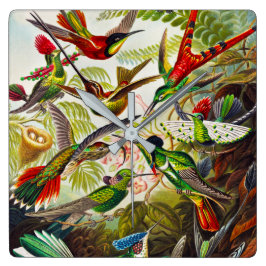 Vintage Hummingbird av Ernst Haeckel Fyrkantig Klocka