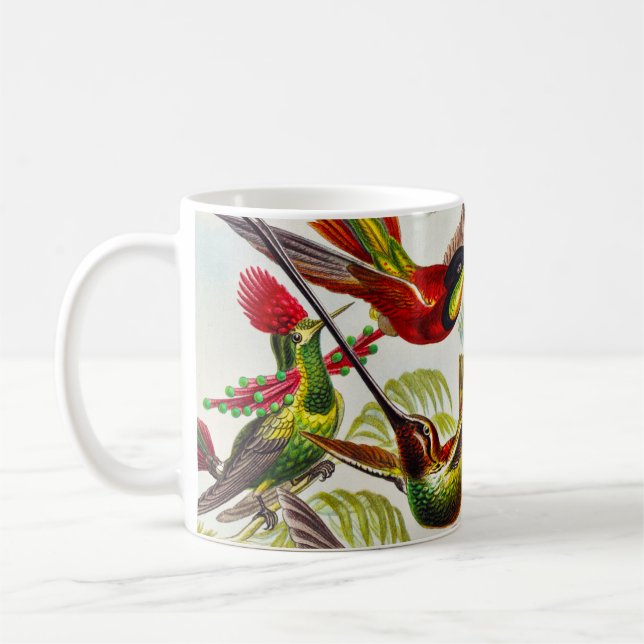 Vintage Hummingbird av Ernst Haeckel Kaffemugg (Vänster)