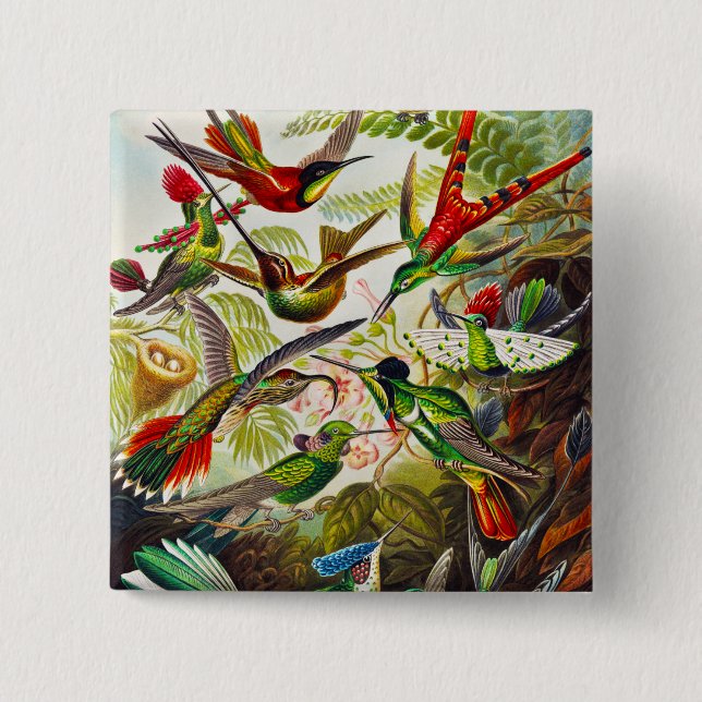 Vintage Hummingbird av Ernst Haeckel Knapp (Framsida)