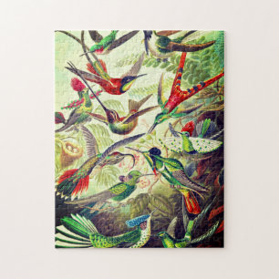 Vintage Hummingbird av Ernst Haeckel Pussel