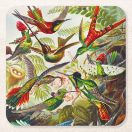 Vintage Hummingbird av Ernst Haeckel Underlägg Papper Kvadrat