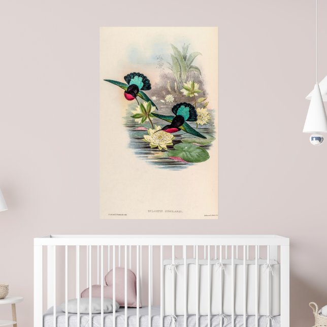 Vintage Hummingbird av John Gould Poster (Barnkammare 2)