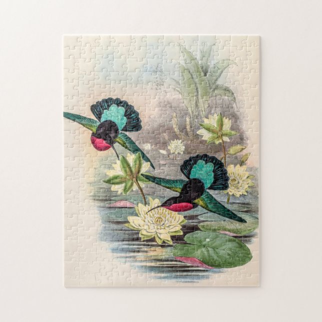Vintage Hummingbird av John Gould Pussel (Vertikal)