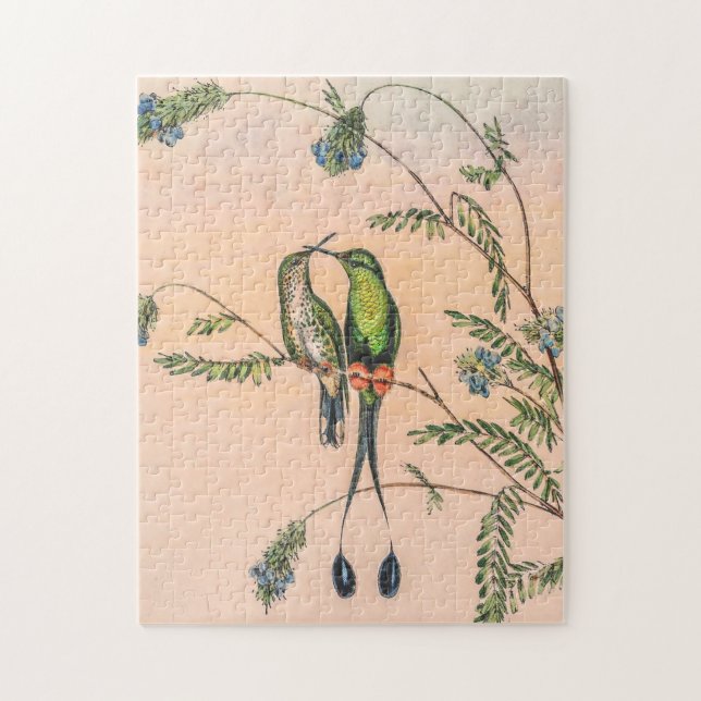 Vintage Hummingbird av John Gould Pussel (Vertikal)