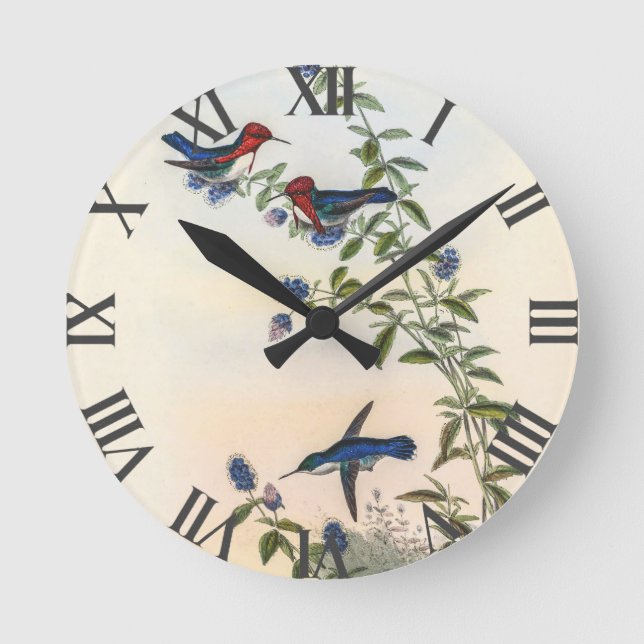 Vintage Hummingbird av John Gould Rund Klocka (Framsida)