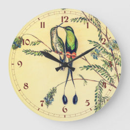 Vintage Hummingbird av John Gould Stor Klocka