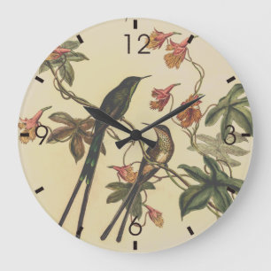Vintage Hummingbird av John Gould Stor Klocka