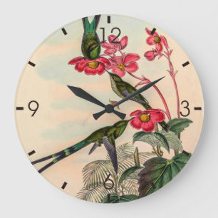 Vintage Hummingbird av John Gould Stor Klocka